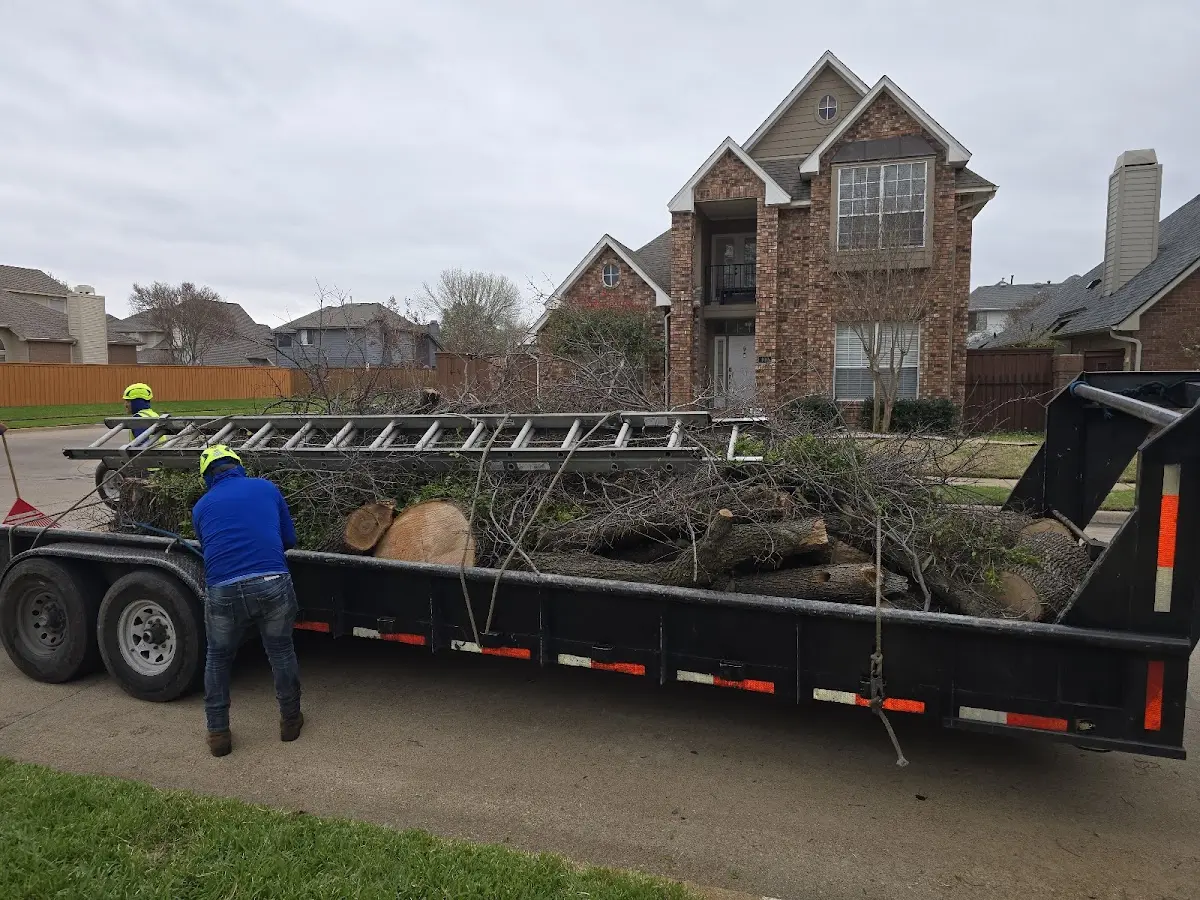 Expert Lot Clearing with proper safety equipment in Glengary